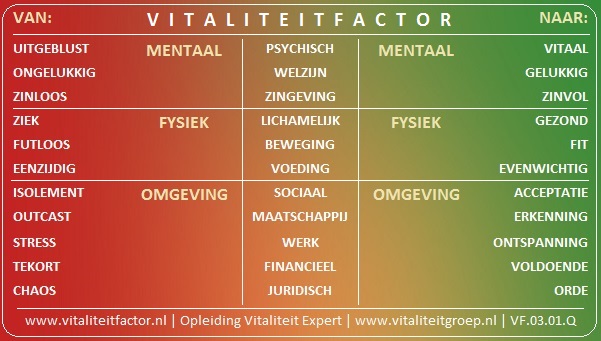 20180222 Schema Vitaliteitfactor VF0301Q def