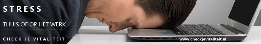 Banner2 Stress Thuis of op het werk man laptop 002A